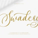 Swadery Script Font