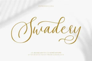 Swadery Script Font