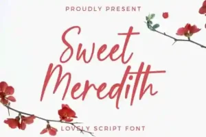 Sweet Meredith Script Font