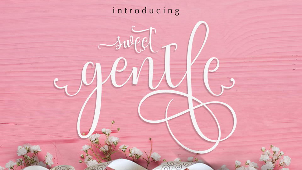 Sweetgentle Script Font › Fontesk