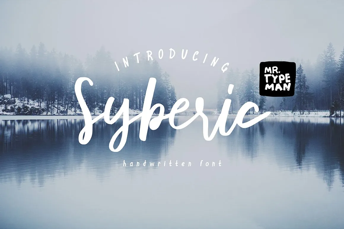 Syberic Script Font