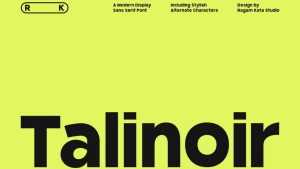 Talinoir Font › Fontesk