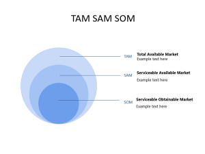 TAM SAM SOM PowerPoint Template