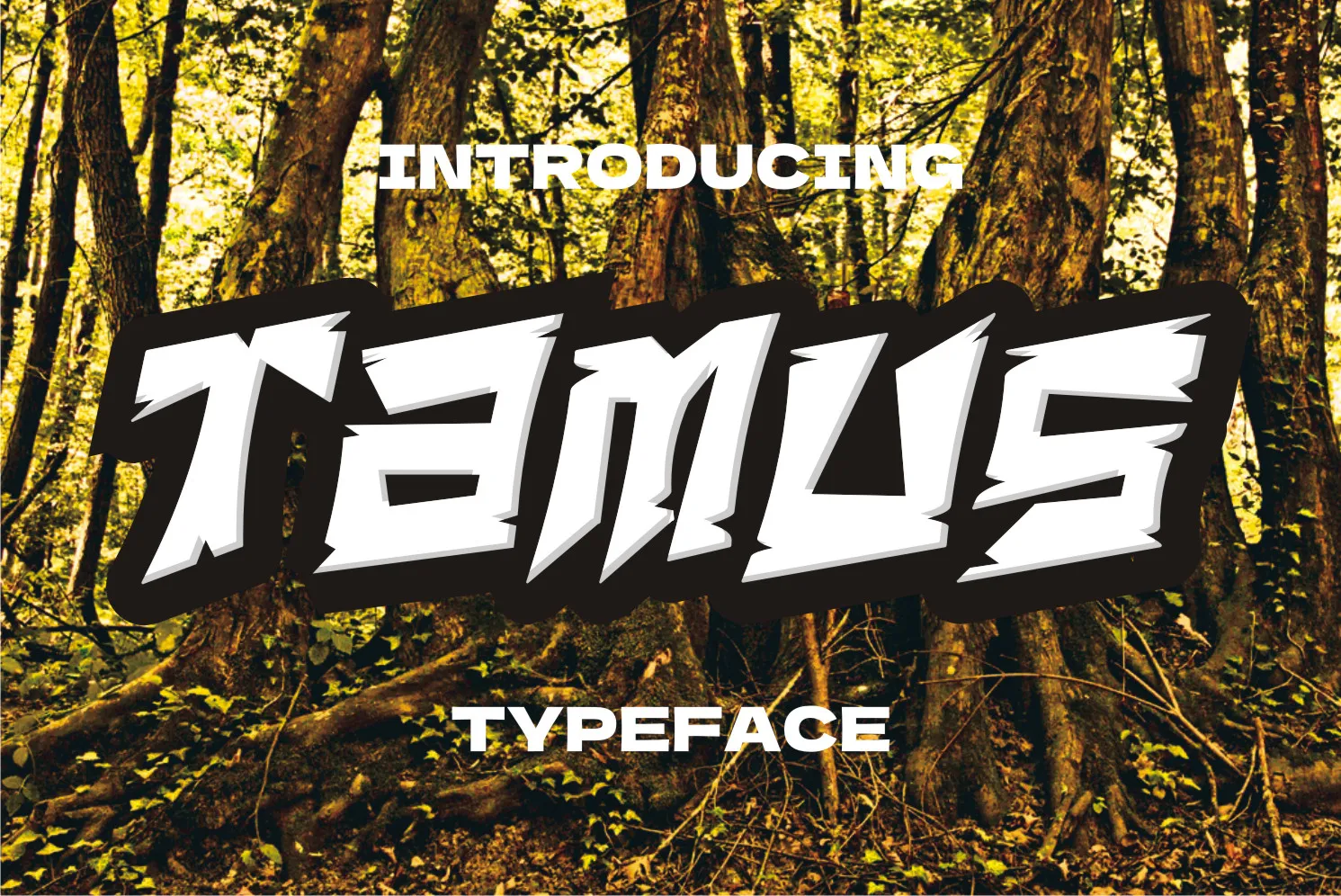 Tamus Font