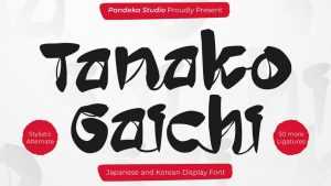 Tanako Gaichi Font › Fontesk