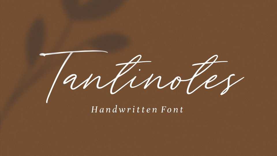 Tantinotes Script Font › Fontesk