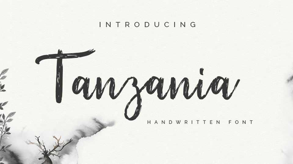 Tanzania Script Font › Fontesk