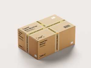 Taped box mockup