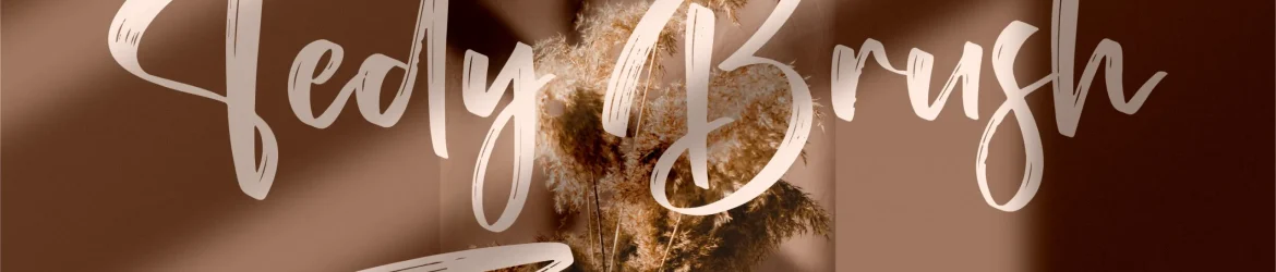 Tedy Brush Font