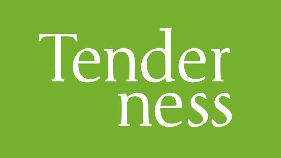 Tendeness Font › Fontesk