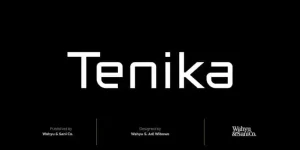 Tenika Sans Serif Font