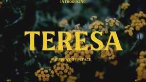 Teresa Font › Fontesk