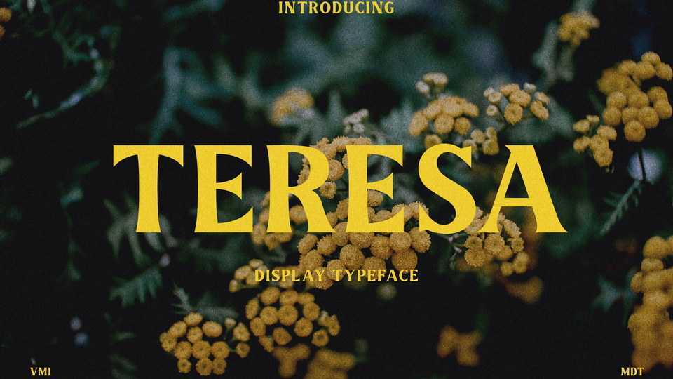 Teresa Font › Fontesk