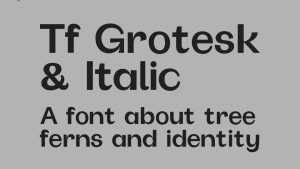 Tf Grotesk Font Family › Fontesk