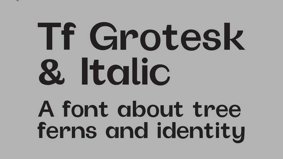 Tf Grotesk Font Family › Fontesk