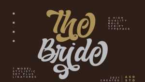 The Bride Script Font › Fontesk