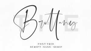 The Brittany Font Trio › Fontesk