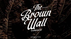 The Brown Wall Script › Fontesk