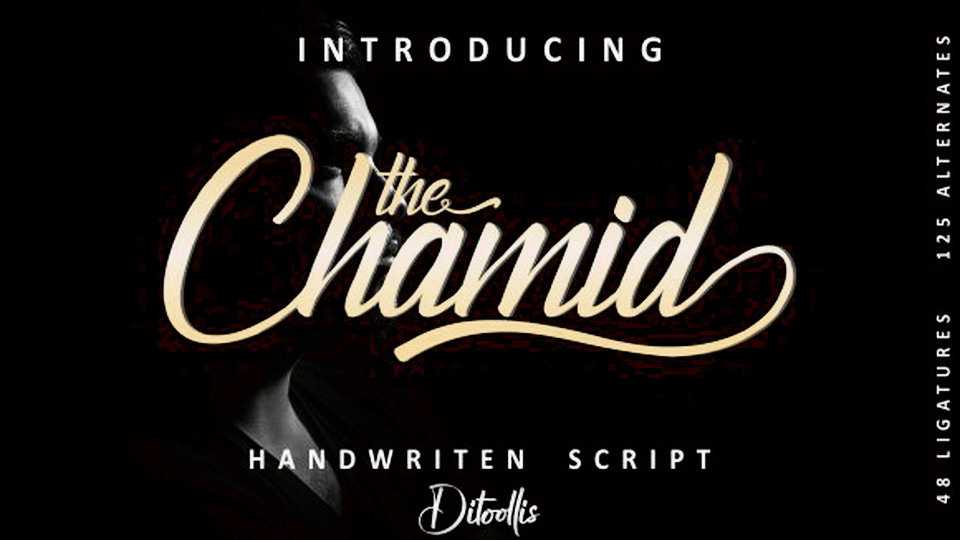 The Chamid Script Font › Fontesk