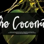 The Coconut Script Font