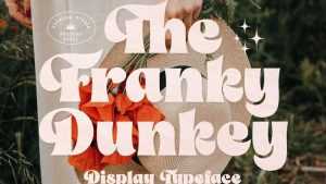 The Franky Dunkey Font › Fontesk