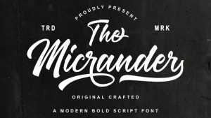 The Micrander Script Font › Fontesk