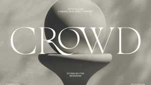 The More Crowd Font › Fontesk