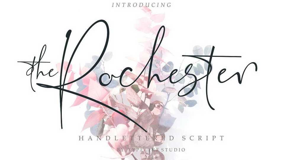 The Rochester Script Font › Fontesk