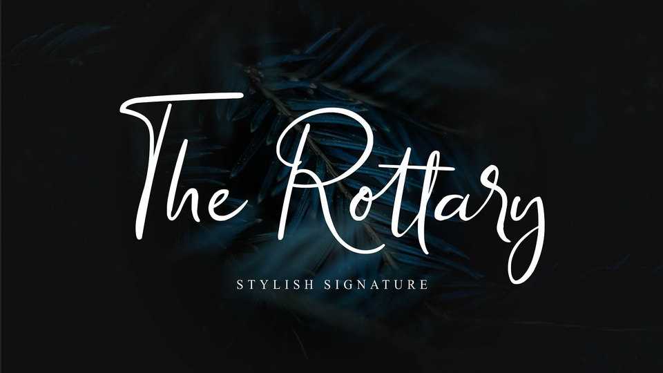 The Rottary Script Font › Fontesk