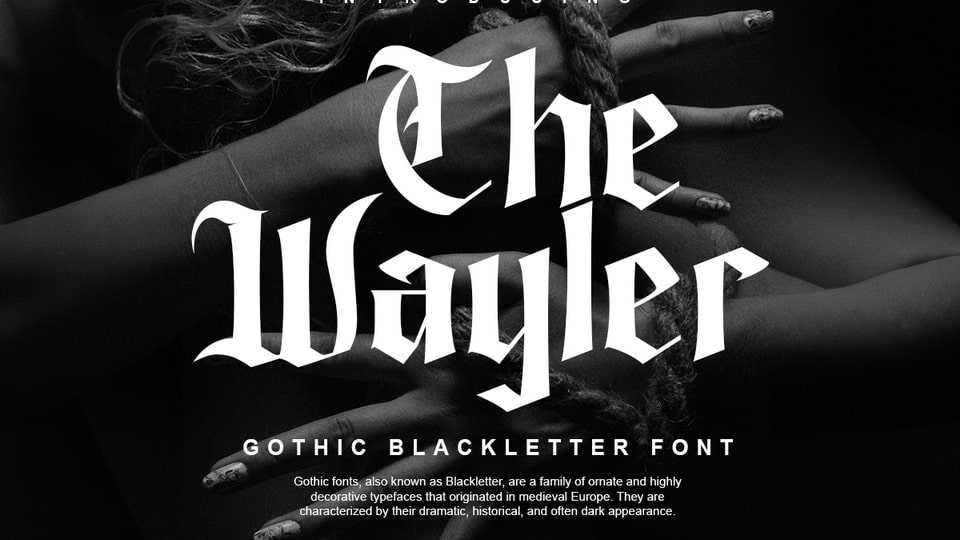 The Wayler Font › Fontesk