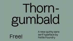 Thorngumbald Font › Fontesk