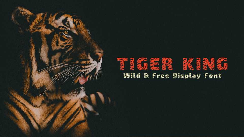 Tiger King Font › Fontesk