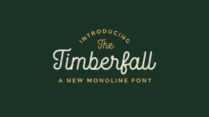 Timberfall Script Font › Fontesk