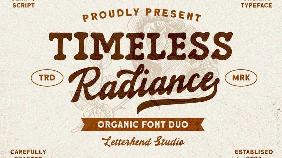 Timeless Radiance Font › Fontesk