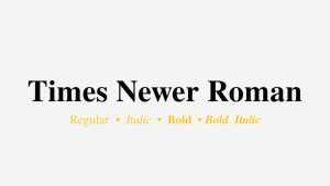 Times Newer Roman Font Family › Fontesk