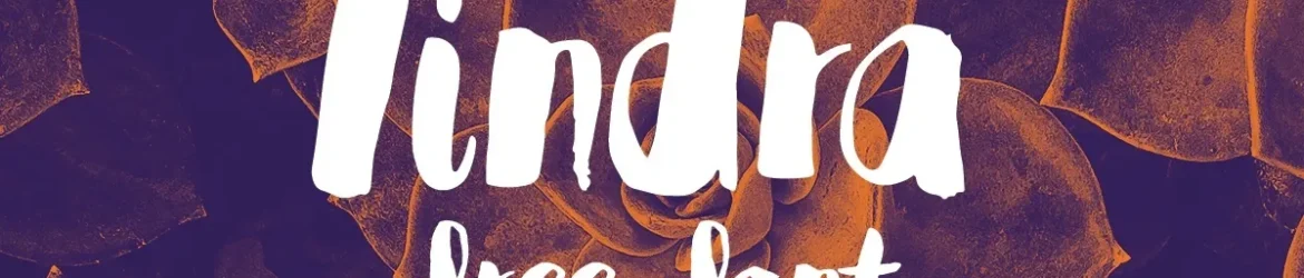 Tindra Font