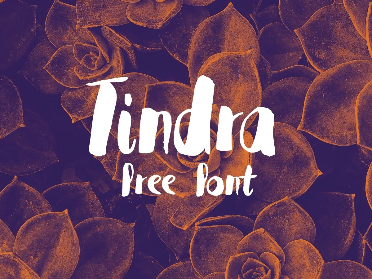 Tindra Font