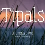 Tipals Font