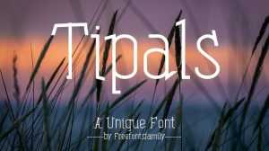 Tipals Font › Fontesk