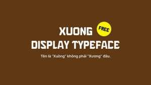 TNH Xuong Font › Fontesk