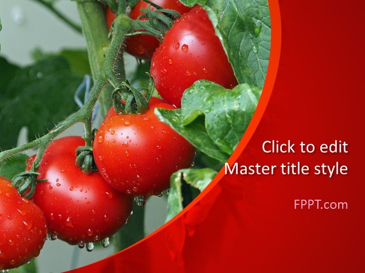 Tomatoes PowerPoint Template
