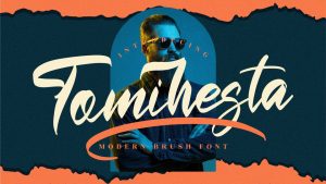 Tomihesta Script Font › Fontesk