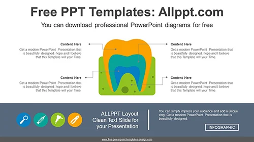 Tooth Cross Section PowerPoint Diagram