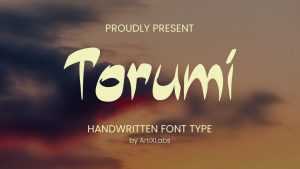 Torumi Font › Fontesk
