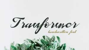 Tranformer Font › Fontesk