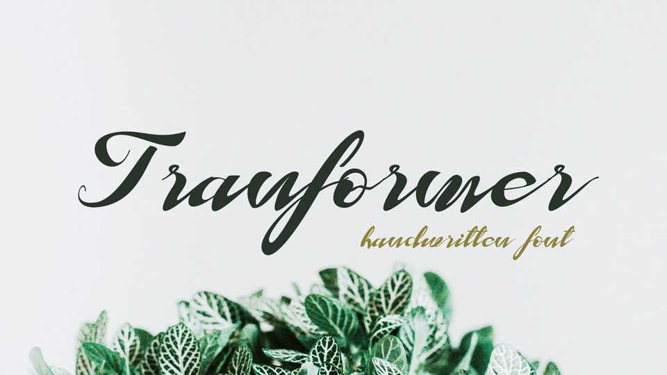 Tranformer Font › Fontesk