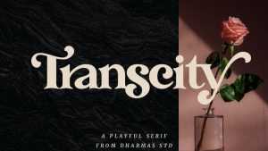 Transcity Font › Fontesk