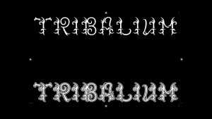Tribalium Font Family › Fontesk