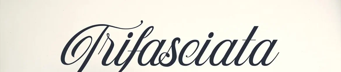 Trifasciata Font