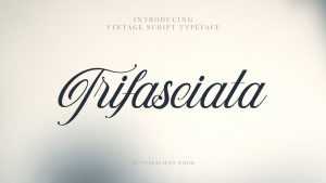 Trifasciata Script Font › Fontesk